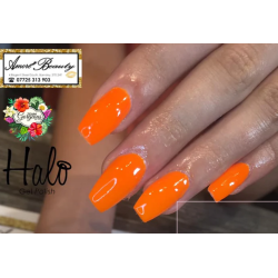 HALO VSP 8ml MAURITIUS Hema Free by PURE NAILS UK