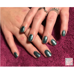 HALO VSP 8ml EMERALD couvrance 5/5 by PURE NAILS UK
