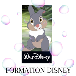 Formation DISNEY sur tips 2j