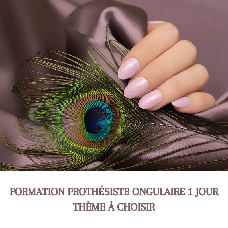 PERFECTIONNEMENT 1 jour Prothésiste Ongulaire - choisir thème et date