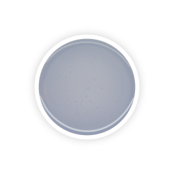 REVELATION Clear 100g (2x50g) - Akyado