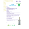 R+G Vernis Finition anti UV  Lizbet 16ml
