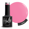 HALO VSP 8ml Motel sans Hema sans TPO