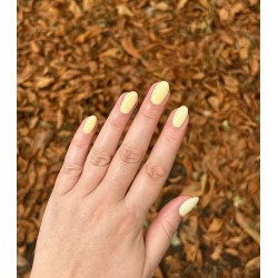 HALO VSP 8ml Meadow sans Hema sans TPO